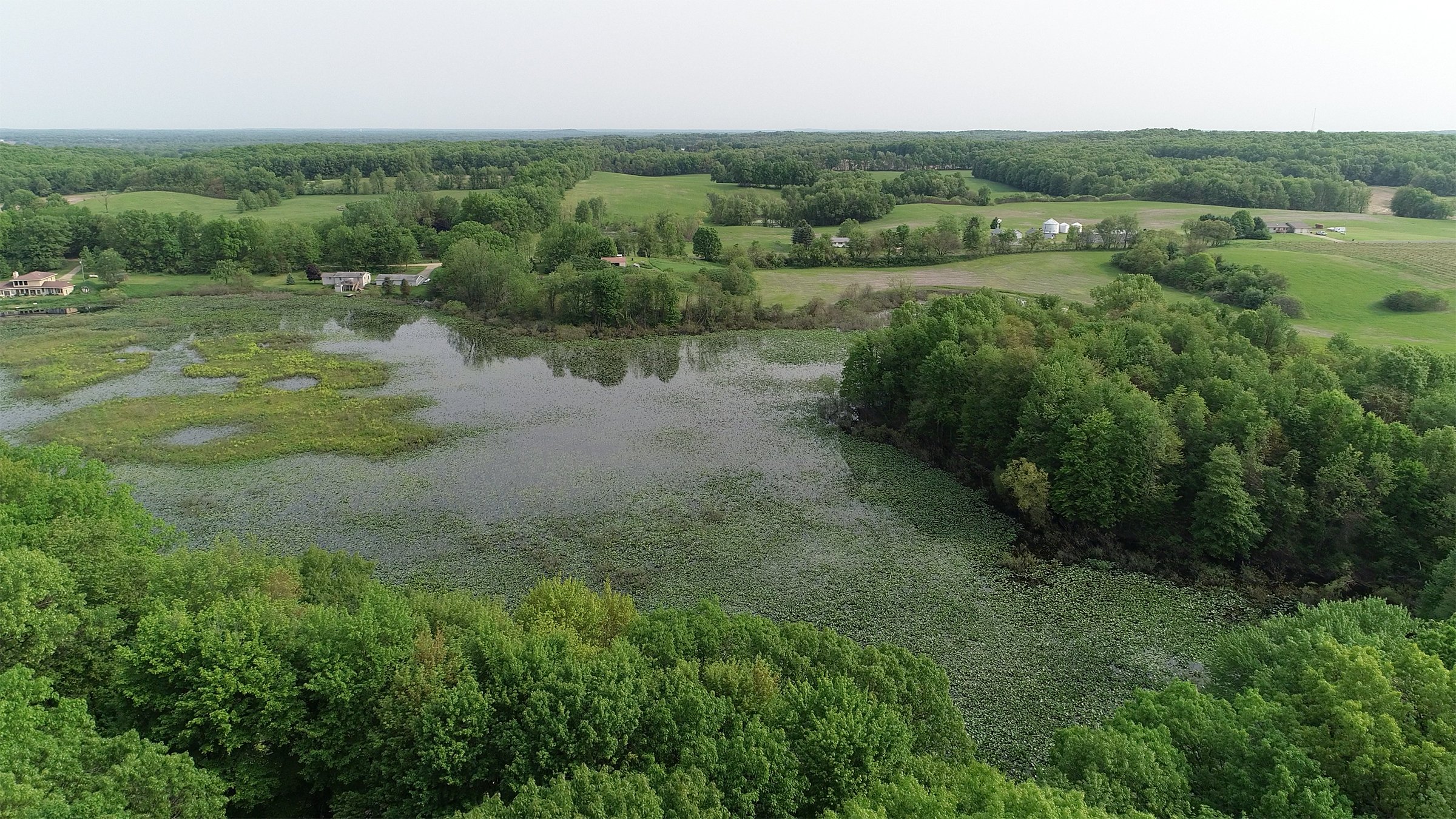 Pond on a farm in Van Buren County, Michigan - LAND AUCTION - 194+/- ACRES OFFERED IN 5 TRACTS IN VAN BUREN COUNTY, MICHIGAN